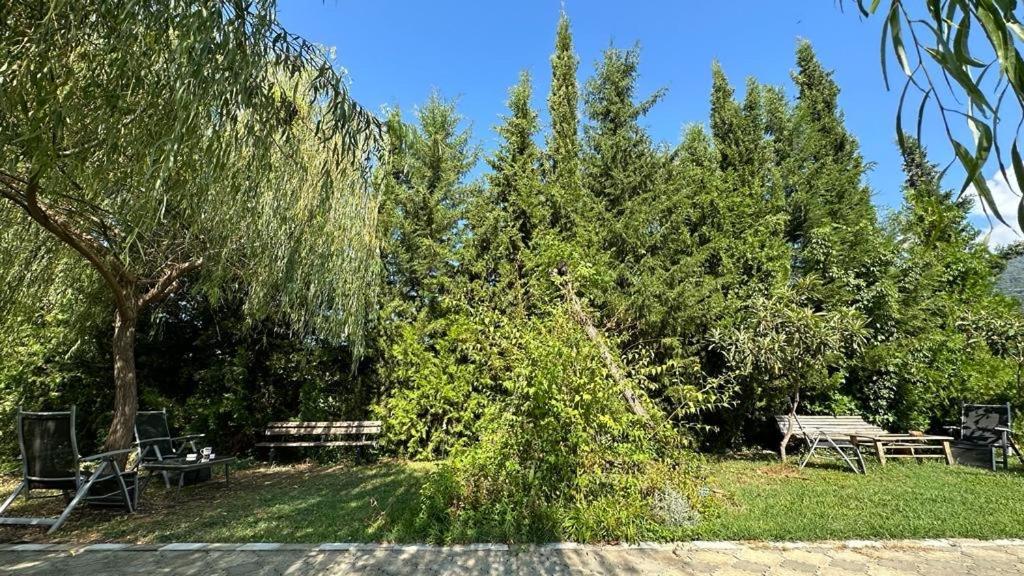 קווארלי Green House מראה חיצוני תמונה
