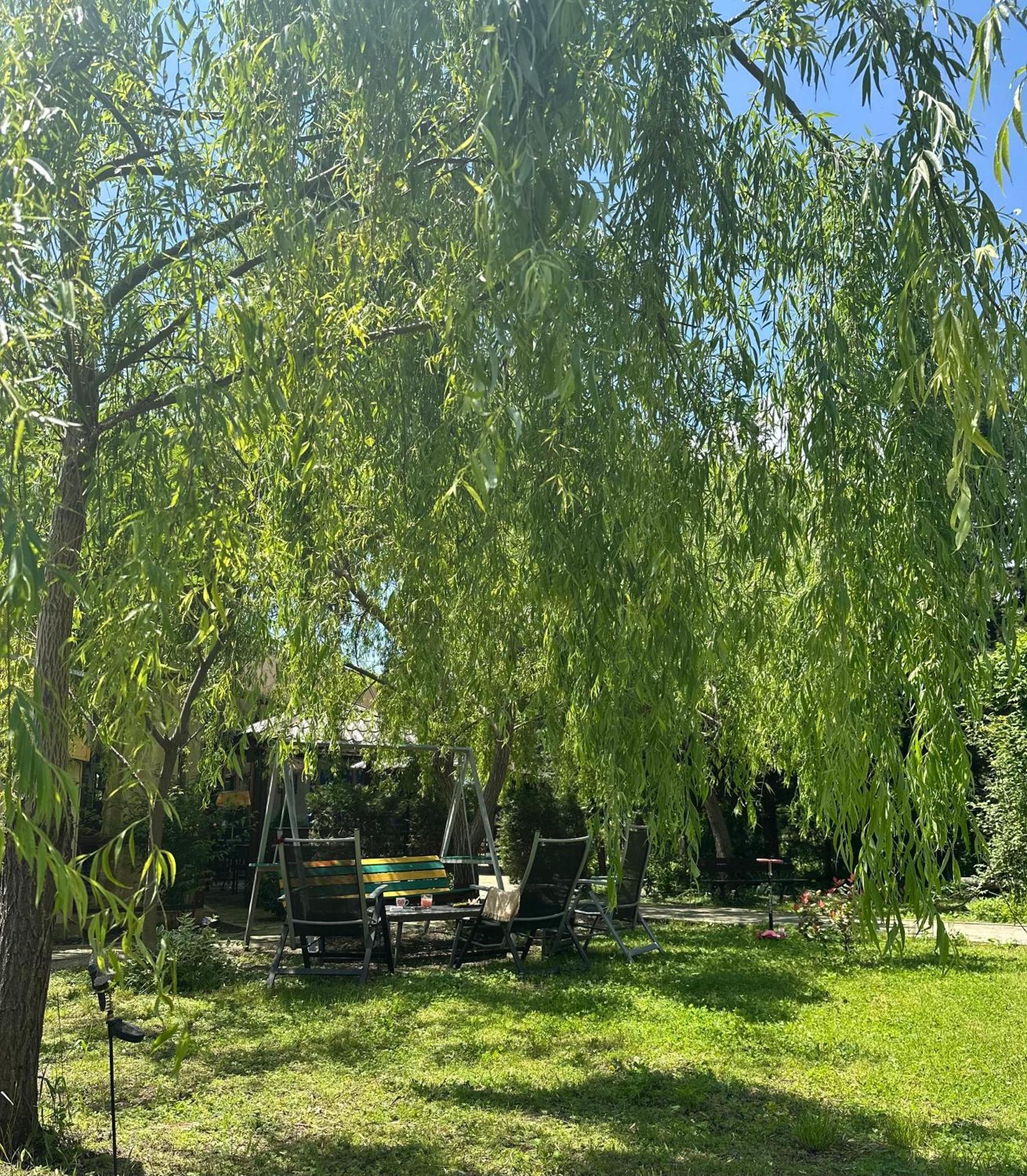 קווארלי Green House מראה חיצוני תמונה