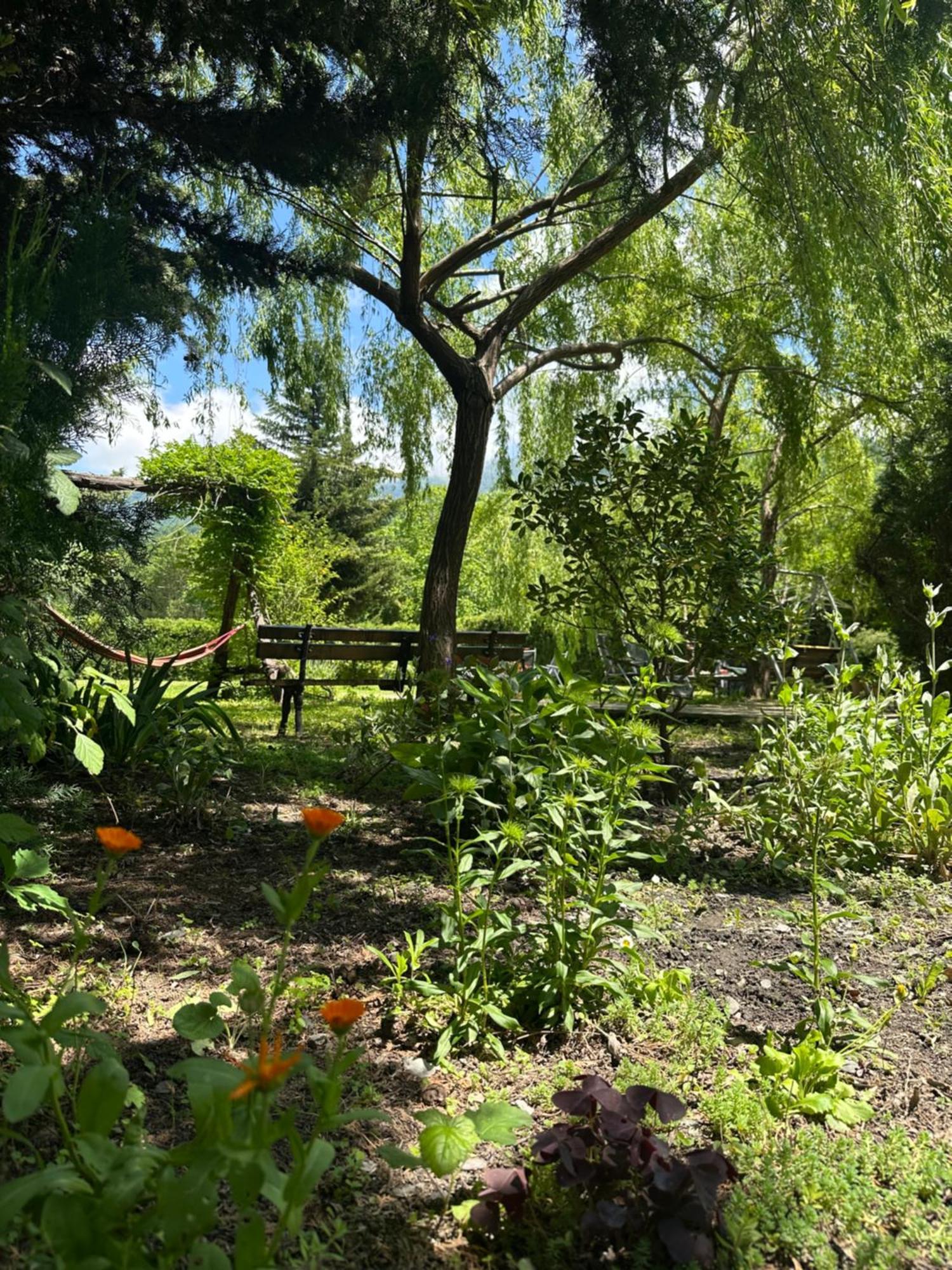 קווארלי Green House מראה חיצוני תמונה